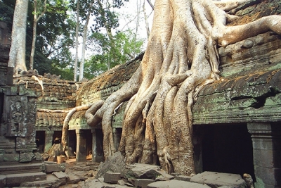 Siem reap 4 day tour