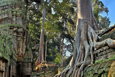 Small Group Explore Angkor Wat Sunrise Tour with Guide from Siem Reap